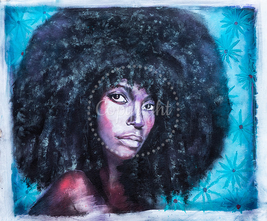 "Black Rose"
